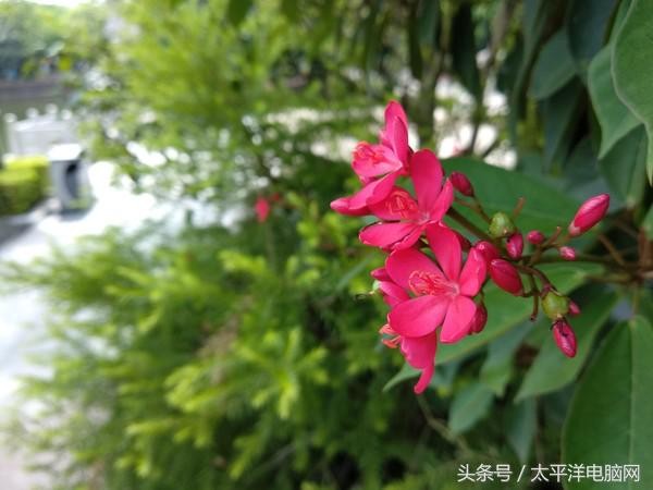 小米5x参数（干货分享小米5x的参数配置详情）