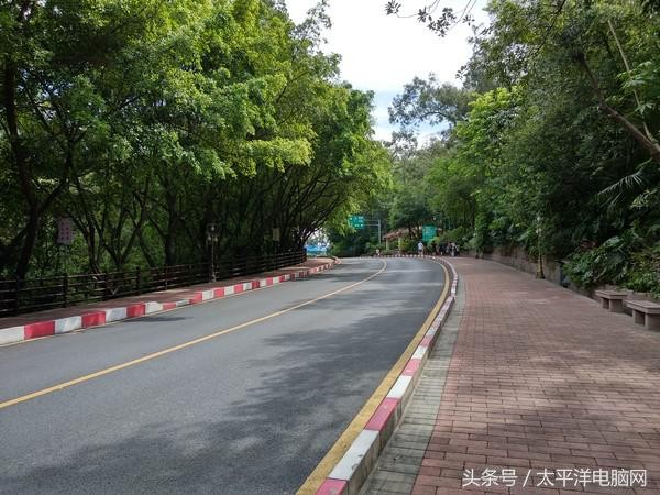 小米5x参数（干货分享小米5x的参数配置详情）