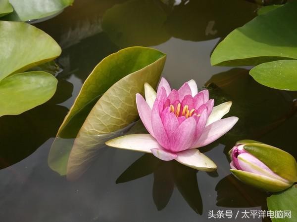 小米5x参数（干货分享小米5x的参数配置详情）