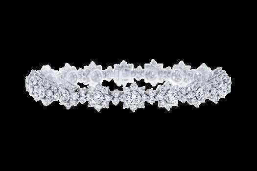 钻石之王海瑞温斯顿（钻石之王海瑞）(13)