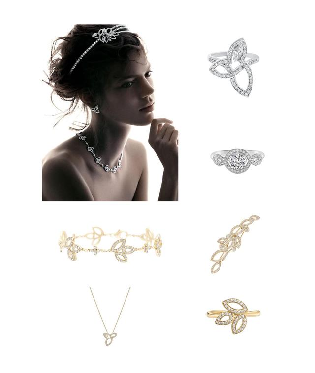 钻石之王海瑞温斯顿（钻石之王海瑞）(10)