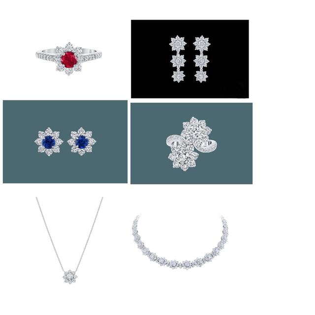 钻石之王海瑞温斯顿（钻石之王海瑞）(12)