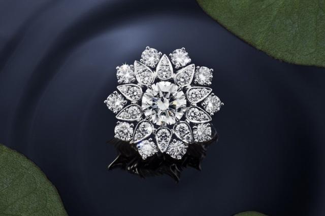 钻石之王海瑞温斯顿（钻石之王海瑞）(11)