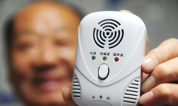 家里有蝙蝠窝怎么处理,蝙蝠在窗户外边搭窝怎么处理图7