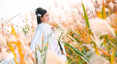 ​白露为霜所谓伊人在水一方是什么意思,蒹葭苍苍白露为霜所谓伊人在水一方书法