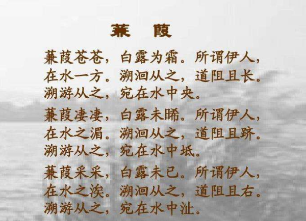 白露为霜所谓伊人在水一方是什么意思,蒹葭苍苍白露为霜所谓伊人在水一方书法图4