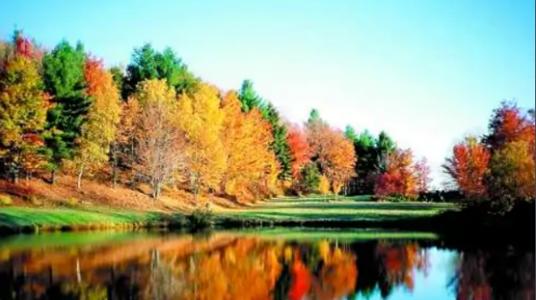 秋天是几月份开始和结束,秋天是几月到几月 几月是秋天的图3