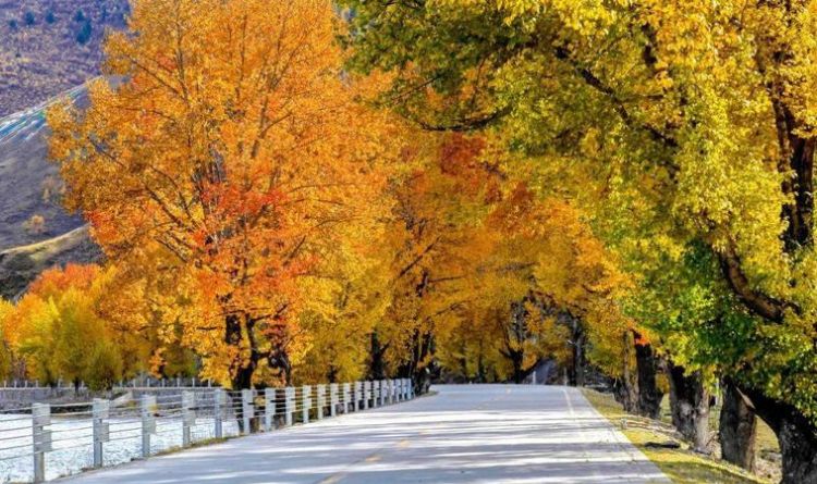 秋天是几月到几月 几月是秋天的