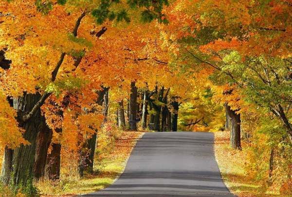 秋天是几月份开始和结束,秋天是几月到几月 几月是秋天的图4