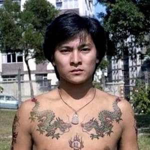 ​拿过世界第一的10位中国明星盘点，原来中国明星也可以这么牛！