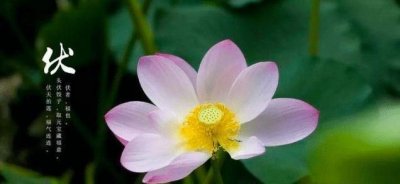 夏至是入伏的开始,夏至是入伏的第一天吗