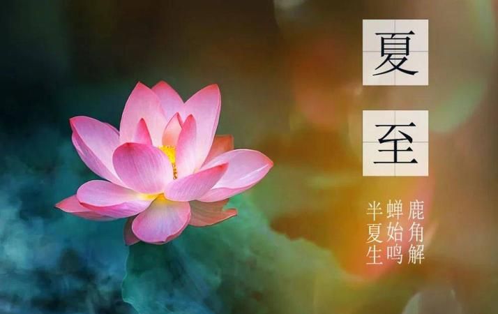 是从夏至开始数伏吗