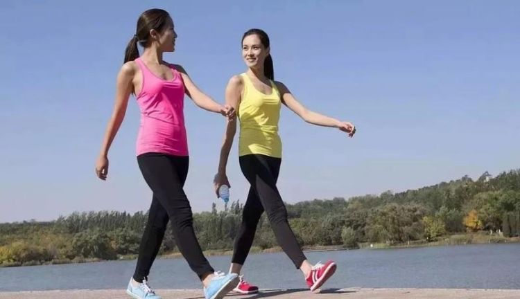 物体的运动方式有几种请举例说明