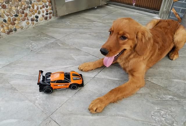 k9是什么意思呢，为什么汽贸的车子是从4S店进的，卖的反而比4S店还便宜？图3