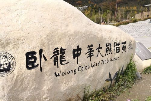 卧龙自然保护区在哪里