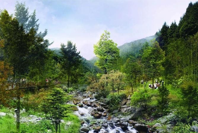 卧龙自然保护区是在我国哪里?