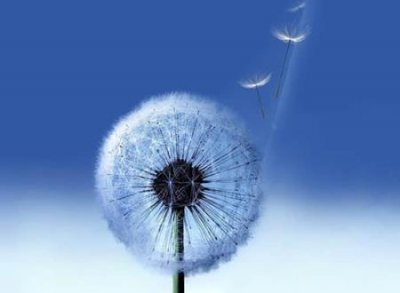 ​彻底告别过去的微信名