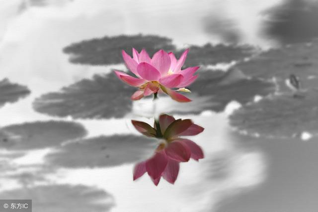 如何测字的十种方法(古今测字术20分钟学会测字)(1)