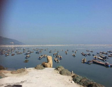 ​曾经的汕头与深圳同为中国经济特区，为什么现在沦为三线城市，