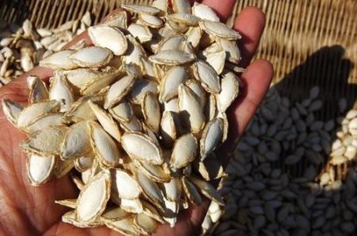 ​常吃南瓜子好吗(常吃南瓜子对身体有什么坏处)