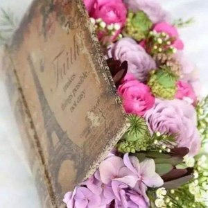 ​50种花语 100种花花语大全