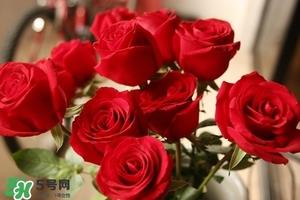 什么东西清火效果好?什么东西清火最快? 什么东西清火效果好?什么东西清火最快?