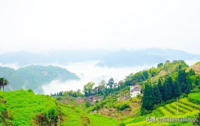 ​打卡福建的“香格里拉”-云顶山