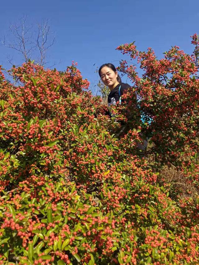 葫芦山旅游（秋游葫芦山）(8)