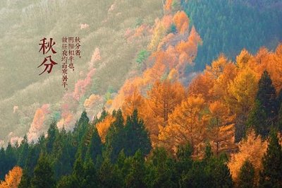 ​秋分的优美诗词