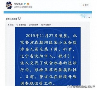 ​毛宁：从顶级流量歌手吸毒到无人过问 数次复出仍未被原谅