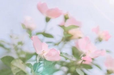 ​职工医保交多少年可退休？灵活就业职工医保和居民医保如何选择？