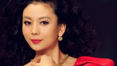 ​朱军老婆——女企业家谭梅的人生路