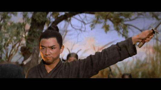 邵氏精典武侠电影有哪些（盘点邵氏十大经典武侠电影）