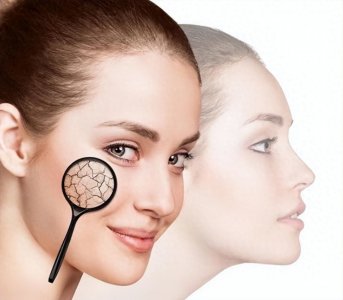 ​美白水果排行榜前十名，揭秘美白的秘密武器