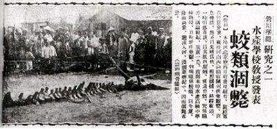 ​未解之谜：营口坠龙事件