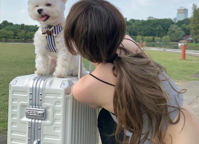 ​如何礼貌拒绝表白 张钧甯“感谢抬爱”堪称教科书版本