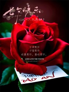 ​2024最新七夕情人节祝福图片，玫瑰与你，皆是浪漫，七夕快乐
