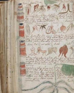 ​无人能解得天书，专家说外星产物，伏尼契手稿究竟藏着什么秘密？