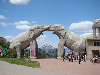 ​2016年，八达岭老虎伤人案：幸存者索赔百万失败，因毁容不敢出门