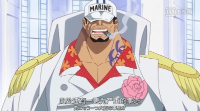 ​赤犬赢了青雉之后，没有将其杀死的原因是什么呢？