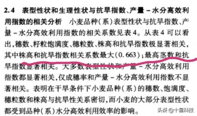 ​河南抗病小麦好品种（2）：周麦36号，高抗“双锈”又抗旱，强筋