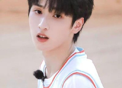 ​宠物志愿，宠物志愿冷狐版下载