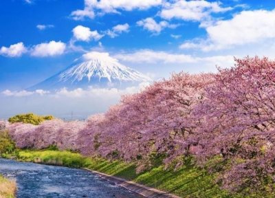 ​西乡隆盛发动西南战争，带领武士阶级走向覆灭