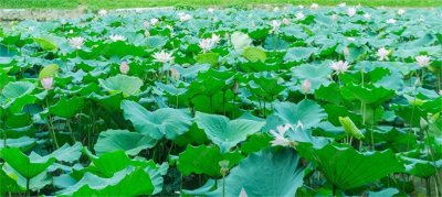 ​如何赚到人生中的第一个100万？只需简单的三步