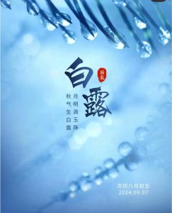 ​白露美图～白露将至 秋意更浓！最新白露图片 白露节气唯美图片更新