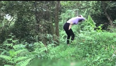 ​美女博主荒野求生：勇敢与智慧的绽放