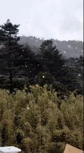 ​刚刚！昆明轿子雪山下雪了