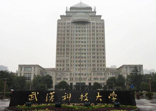 武汉十大院校排名(2022武汉市大学排名)插图3