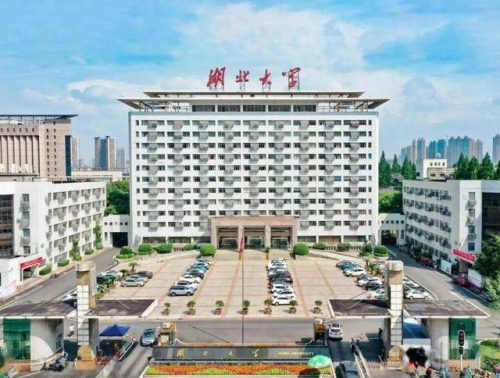 武汉十大院校排名(2022武汉市大学排名)插图7