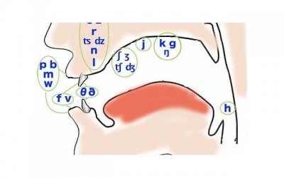​如果男方出轨会净身出户吗